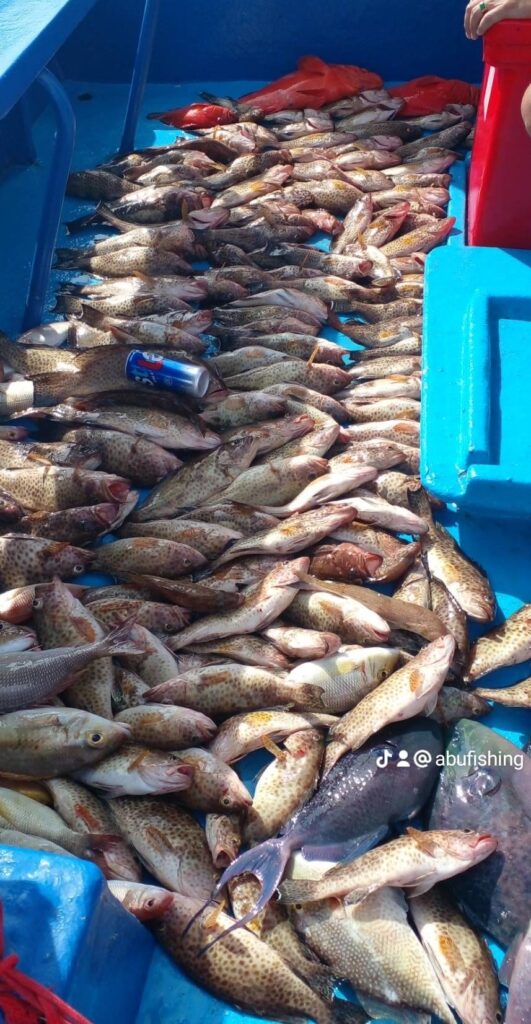 373071870_797355705724390_2508691154891464811_n