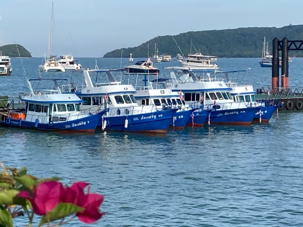 489846629_1294099014990961_4135538033786159728_n